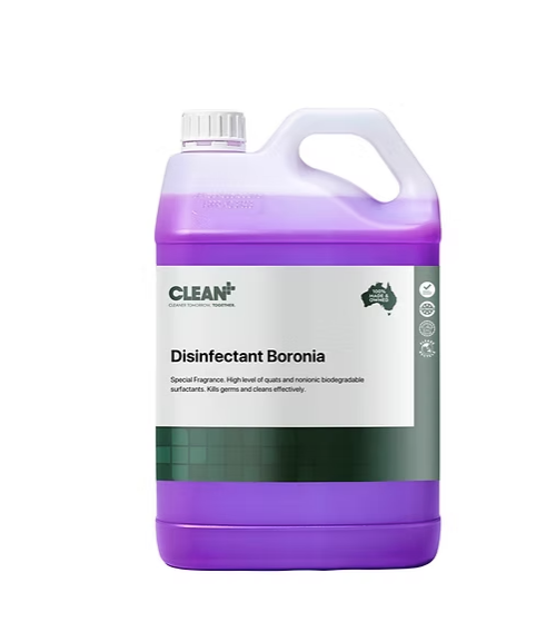 BORONIA DISINFECTANT